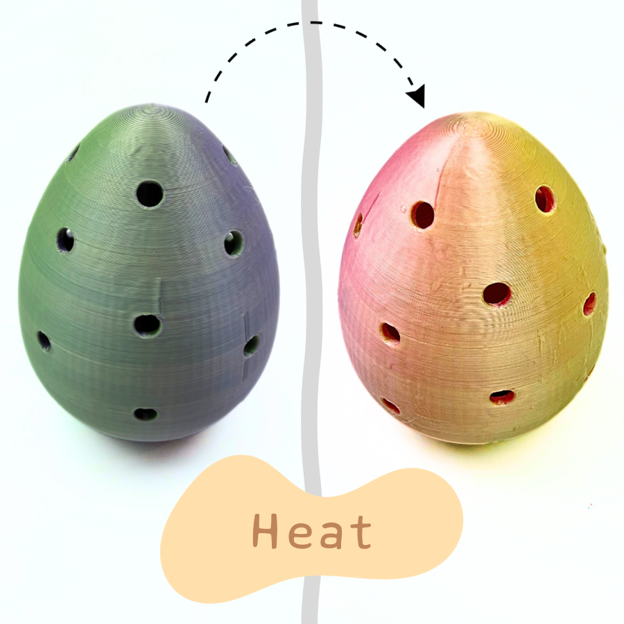 Egg Hunt and Discover