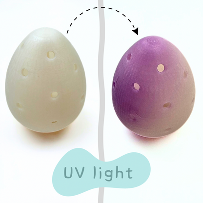 Egg Hunt and Discover