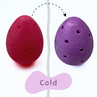 Egg Hunt and Discover